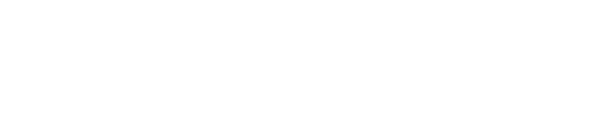 Meos Gümrük